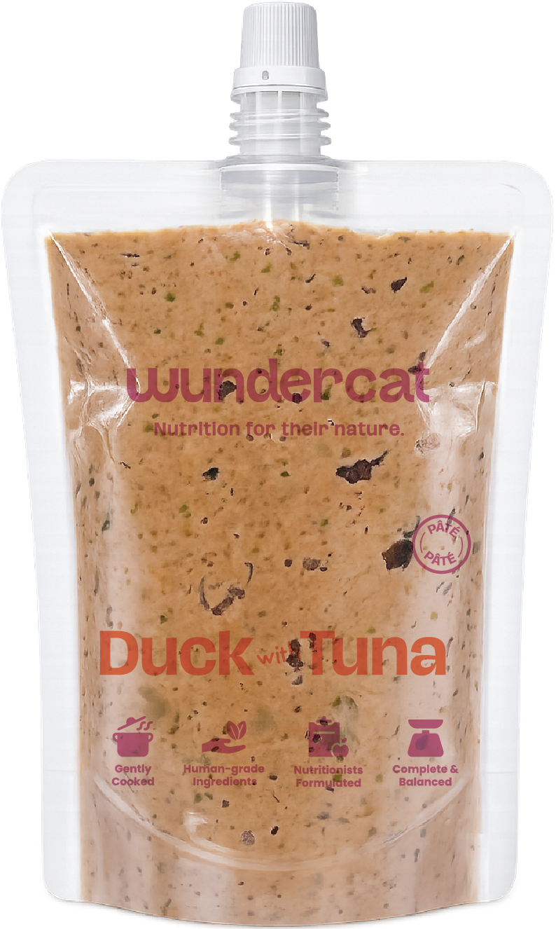 Duck with Tuna Pâté 80gm