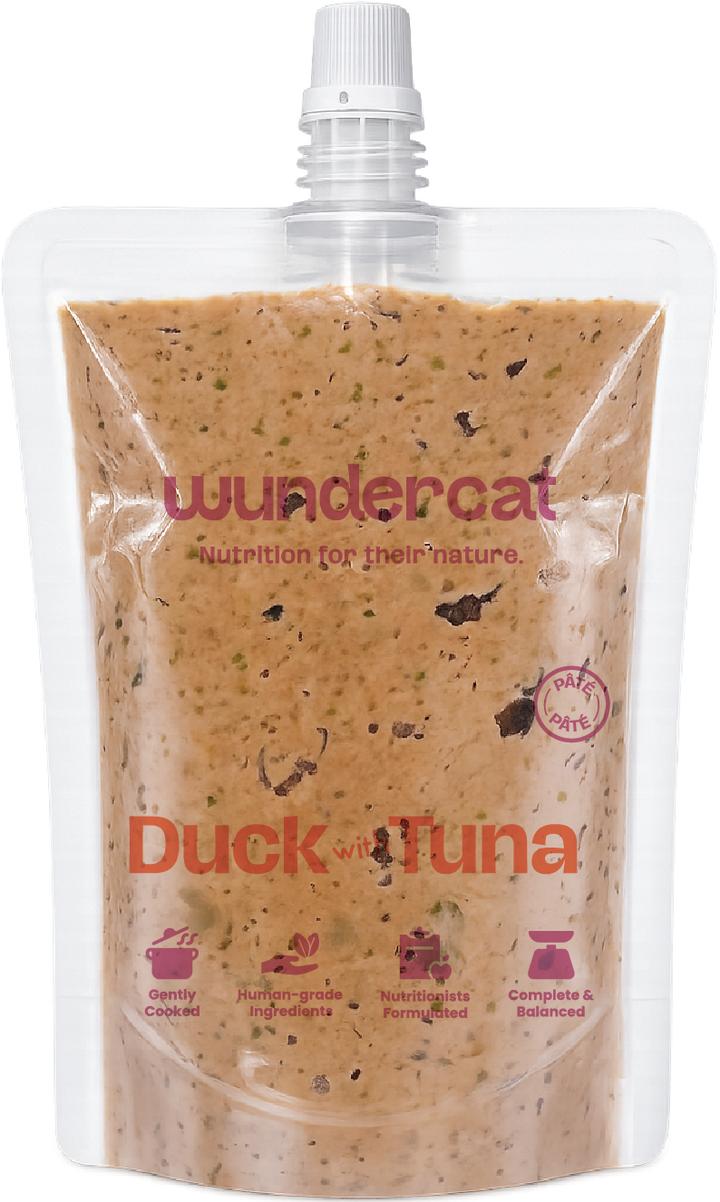 Duck with Tuna Pâté 80gm