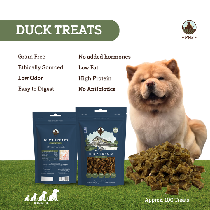Duck Training Treats 100g