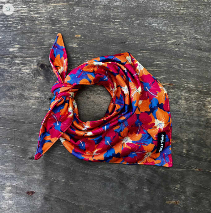 Cooling Dog Bandana