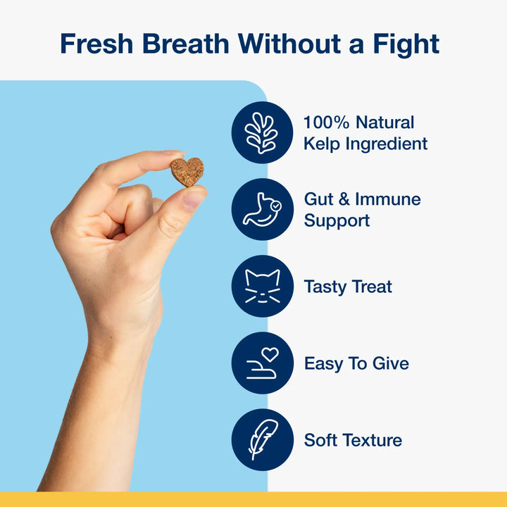 Holistic Soft Bites - Oral Care with Gut & Immune Support Sweet Potato and Pumpkin Flavor