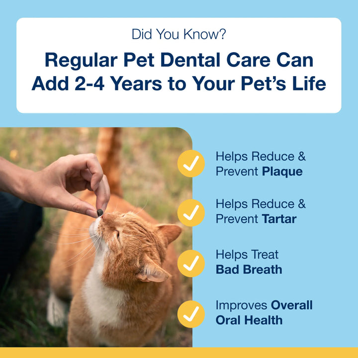 Holistic Soft Bites for Kittens - Oral Care Kitten Formula
