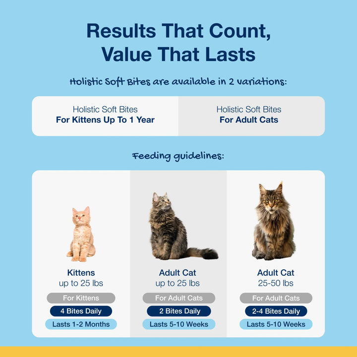 Holistic Soft Bites for Kittens - Oral Care Kitten Formula