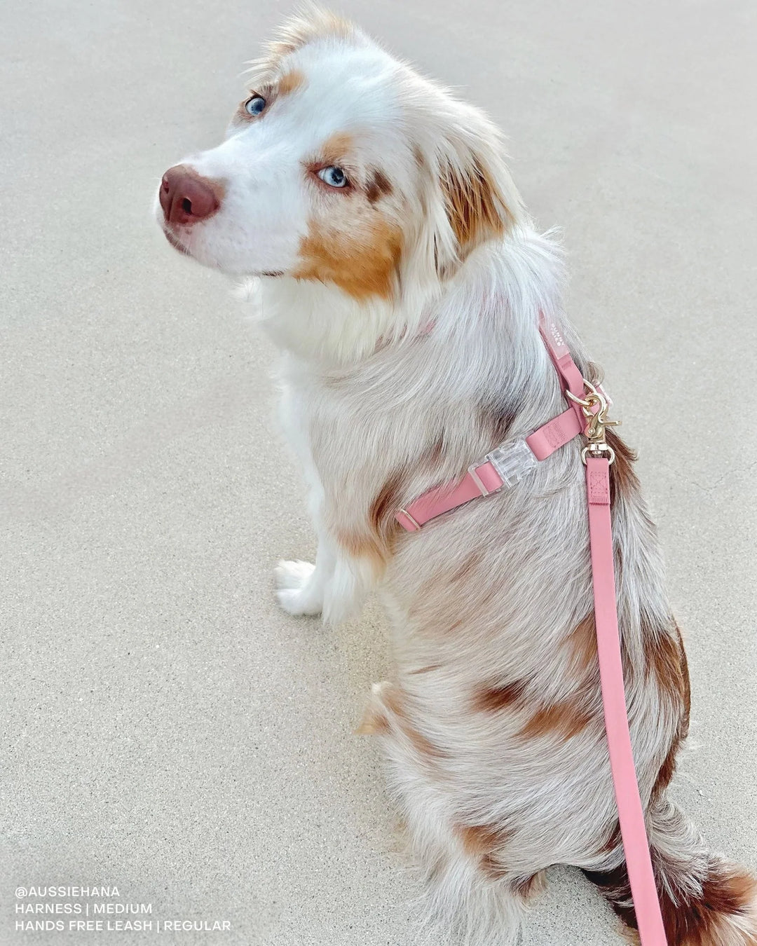 Perfect Pink Cloud Lite Dog Harness