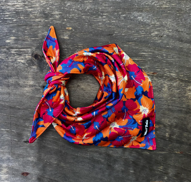 Cooling Dog Bandana