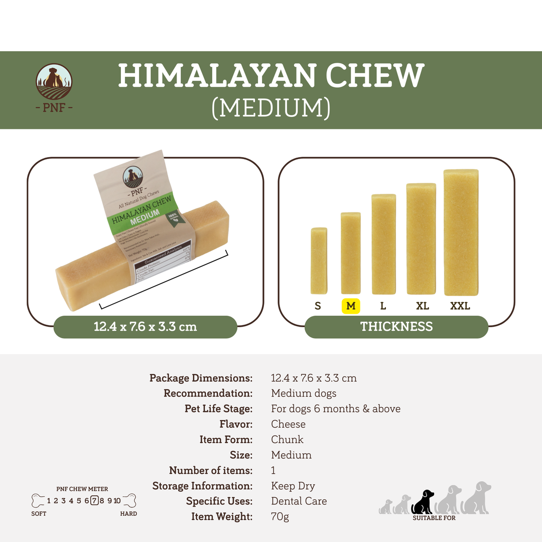 Himalayan Chew Medium