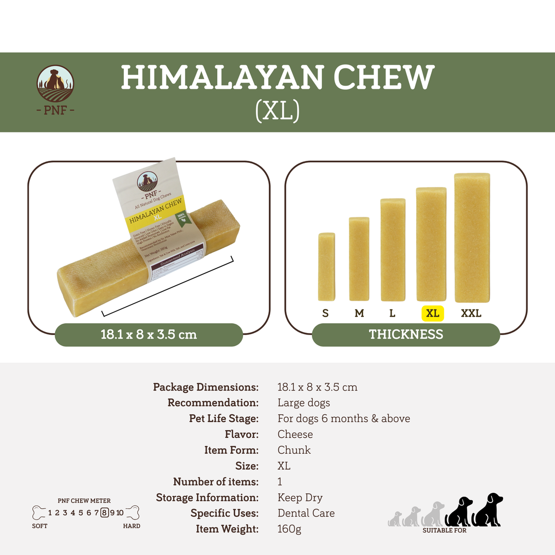 Himalayan Chew XL