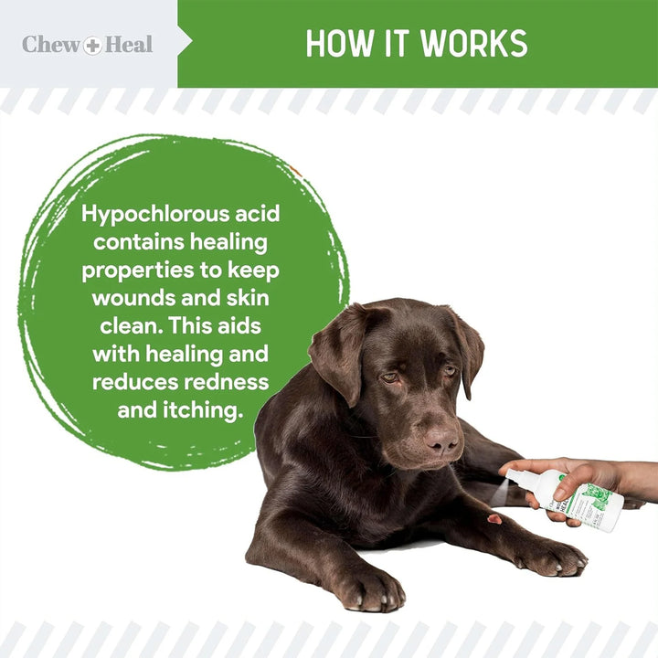 Healing Aid Spray for Dogs & Cats