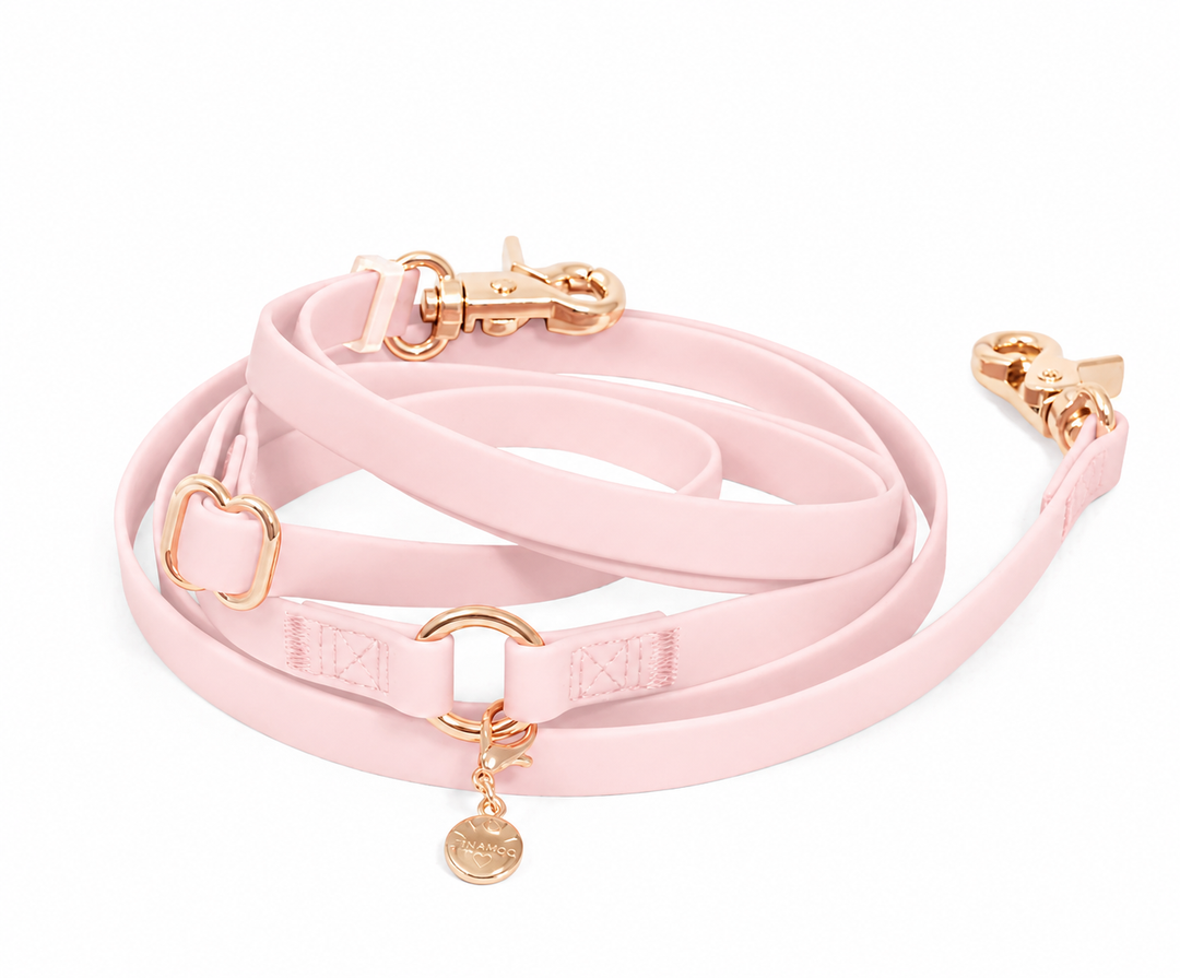4-IN-1 Convertible Hands Free Cloud Dog Leash
