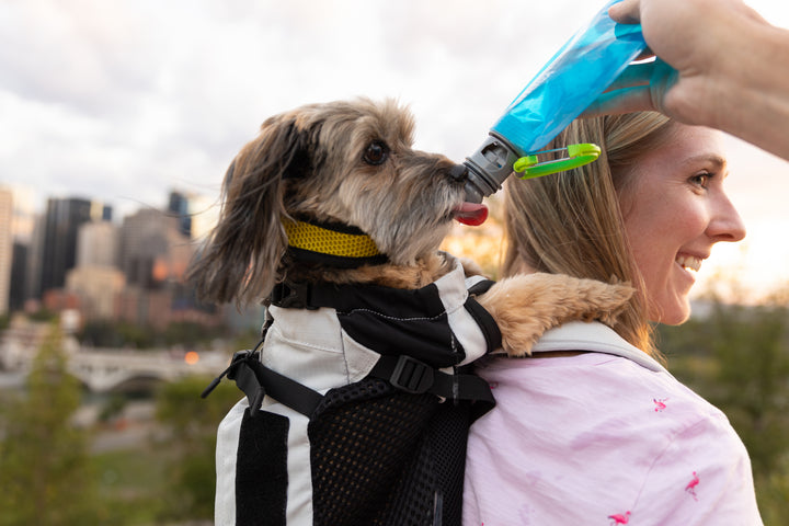 Vapur EZ Lick- Portable Dog Water Bottle