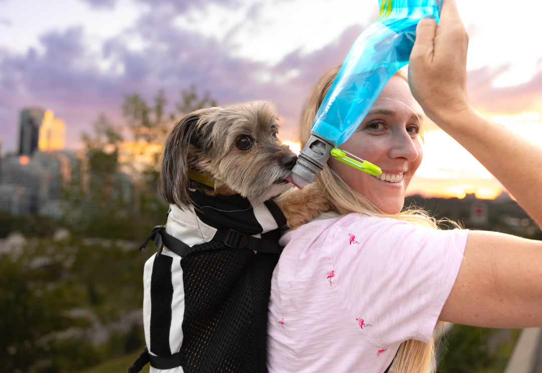 Vapur EZ Lick- Portable Dog Water Bottle