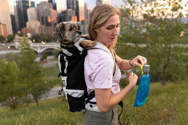 Vapur EZ Lick- Portable Dog Water Bottle