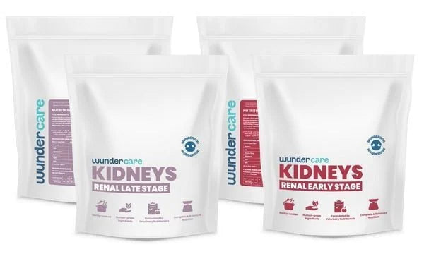 Kidney Support