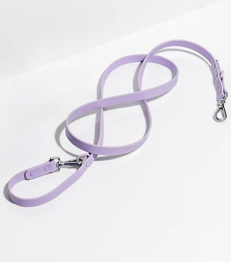 Wild one Dog Leash