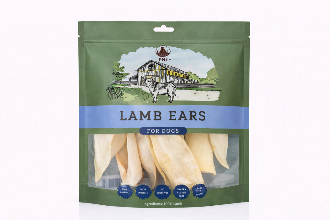 Lamb Ear