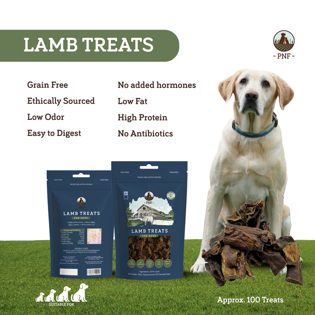 Lamb Training Treats 100g