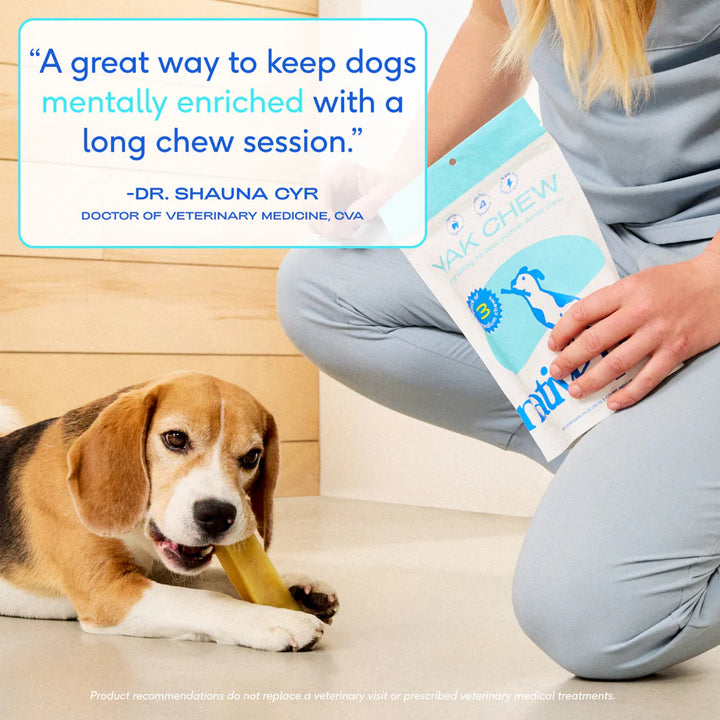Yak Dental Chews