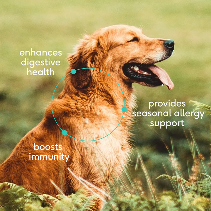 Colostrum - Bioactive support for vitality