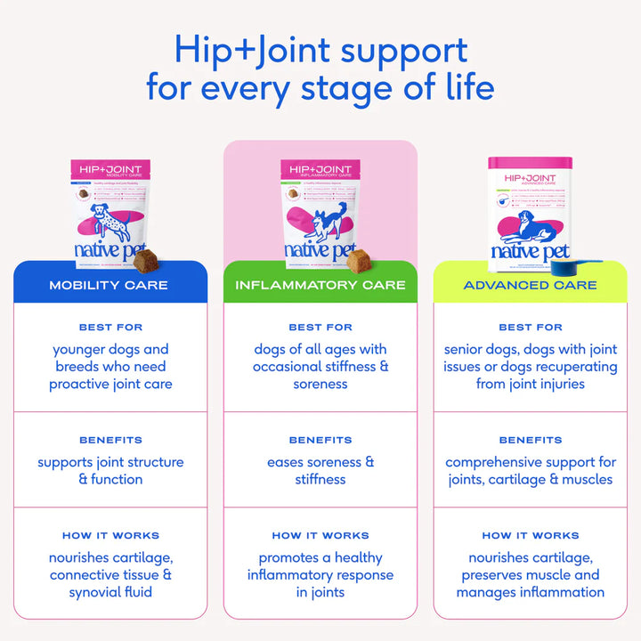 Hip+Joint Inflammatory Care