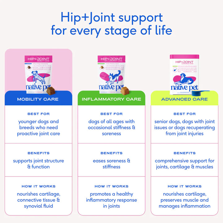 Hip+Joint Mobility Care