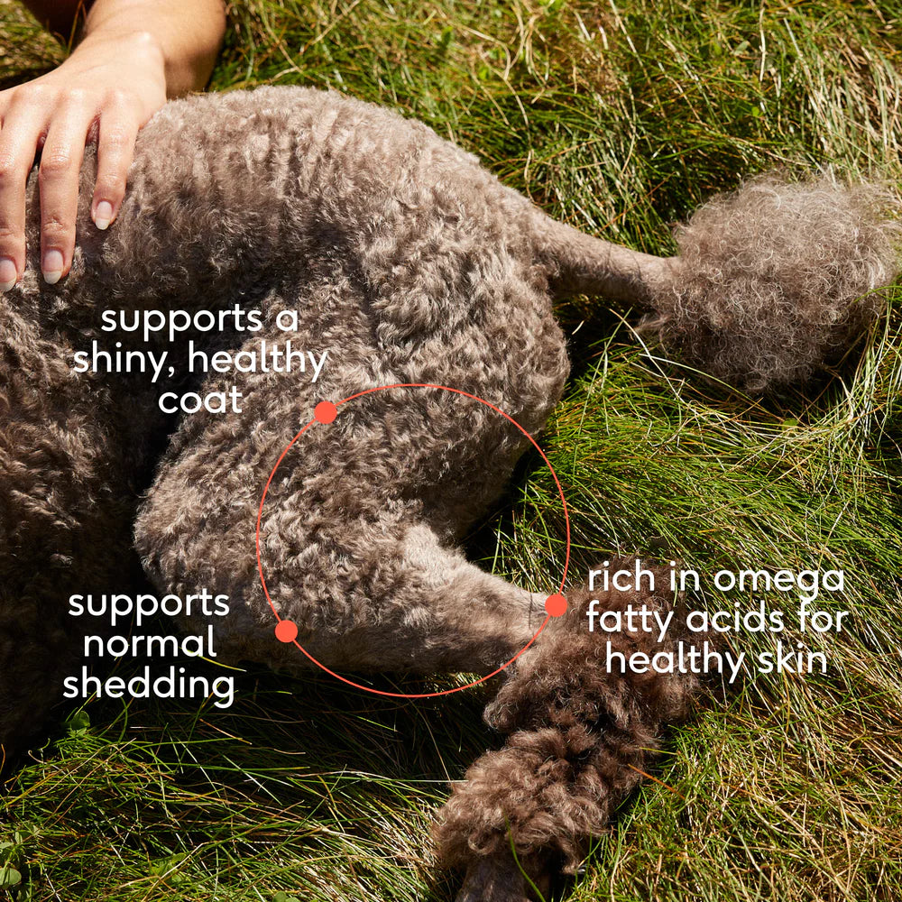 Omega Oil - Promotes skin, coat and joint health