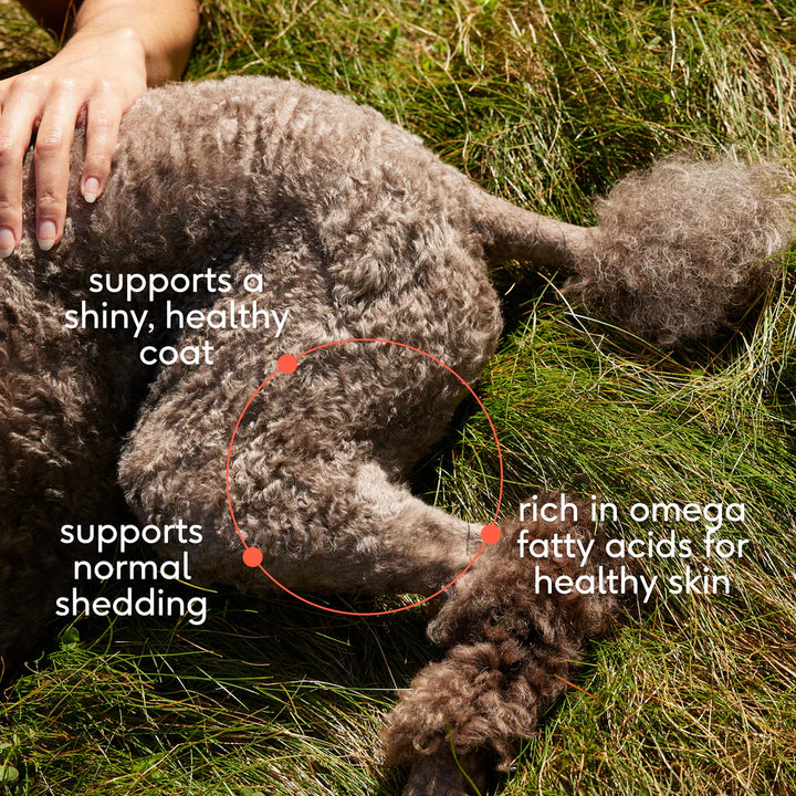 Omega Oil - Promotes skin, coat and joint health