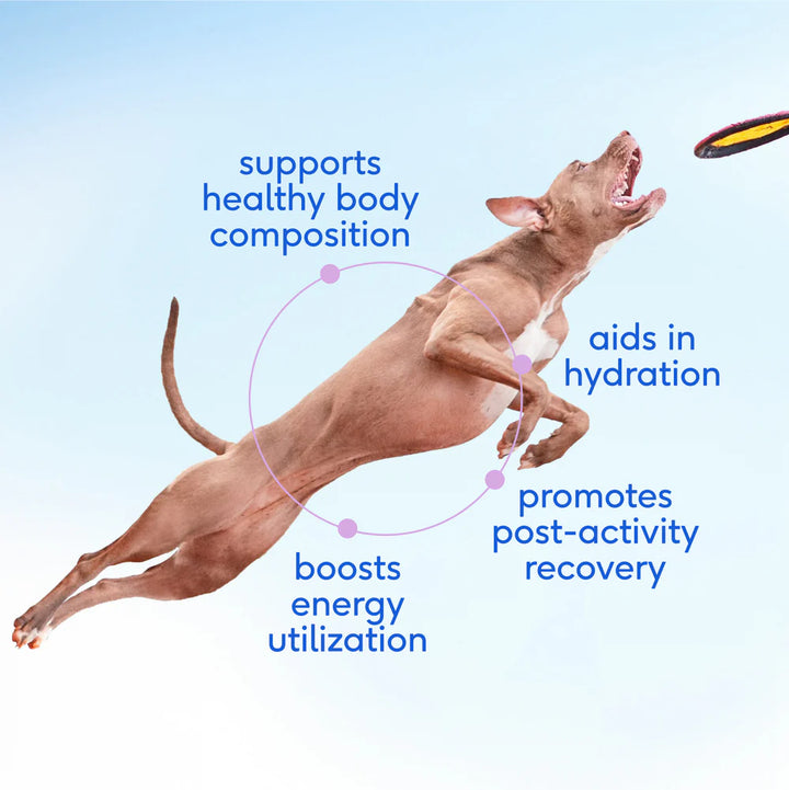 Goat Milk - Fuels active pups + promotes recovery