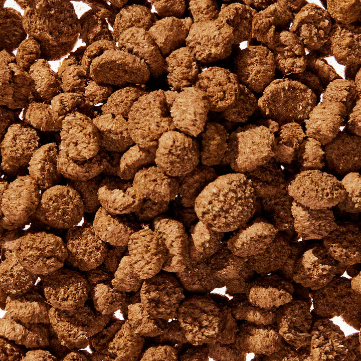 WonderGland Anal gland pumpkin fiber Digestive by Native pet