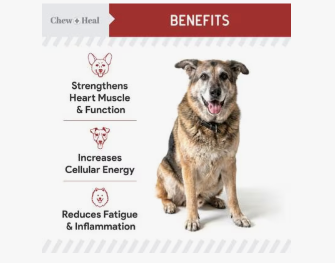 Chew + Heal CoQ10 Heart Support Softgels Supplement for Dogs, 60 count.