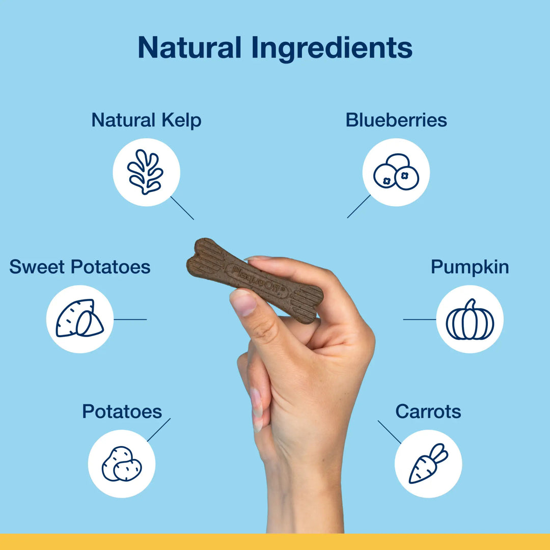 Mini Dental Care Bones - Vegetable Fusion & Blueberry Flavor