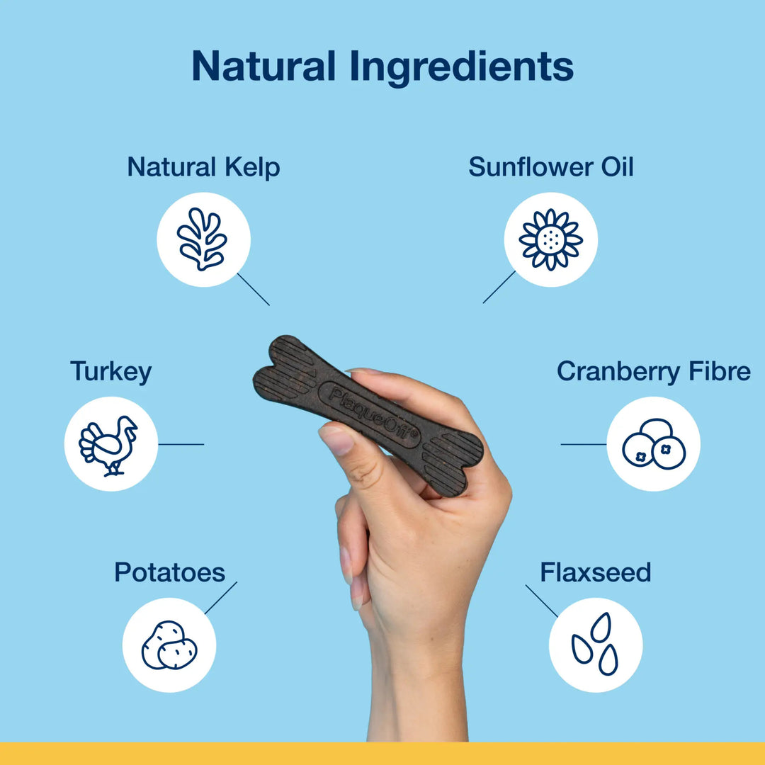 Dental Care Bones - Turkey and Cranberry Flavor