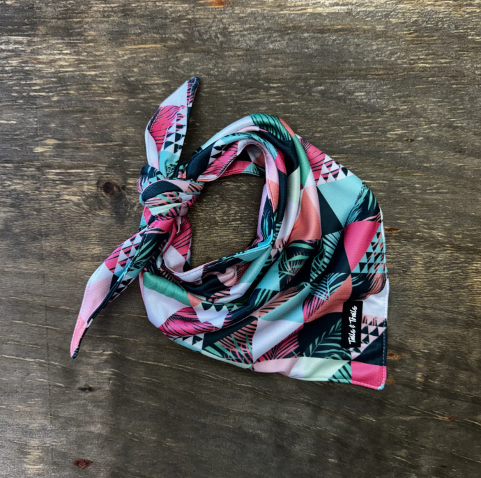 Cooling Dog Bandana