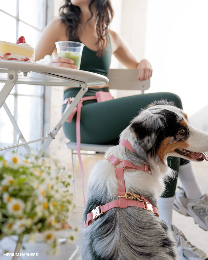 Perfect Pink Cloud Lite Dog Harness