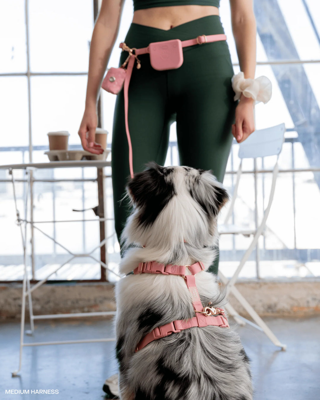 Perfect Pink Cloud Lite Dog Harness