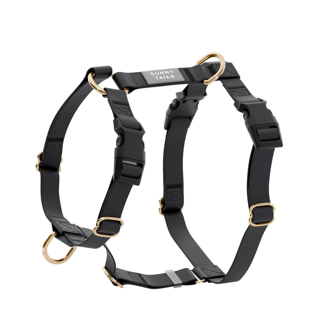 Ember Black Cloud Lite Dog Harness/Metal