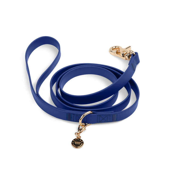 Waterproof Cloud Dog Leash (4 feet)