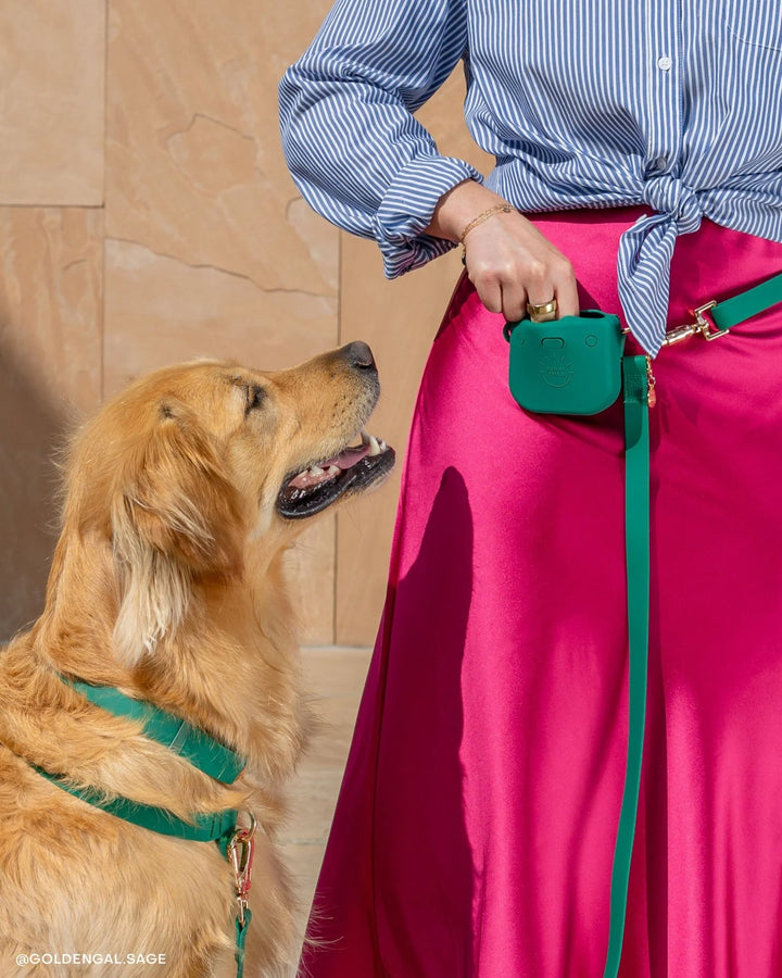 Meadow Green Cloud Lite Dog Harness