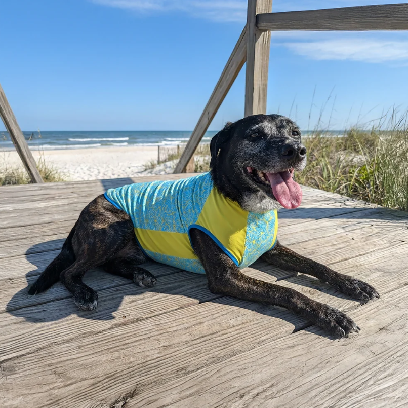 Crystal Cool Pet Cooling Shirt - Blue