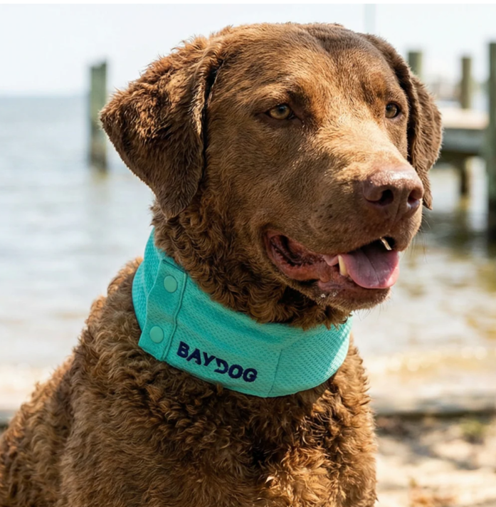 Arctic Bay Cooling Collar - Sea Foam