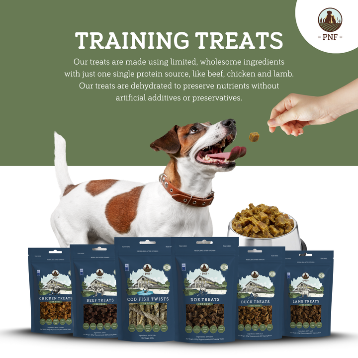 Boar Training Treats 100g
