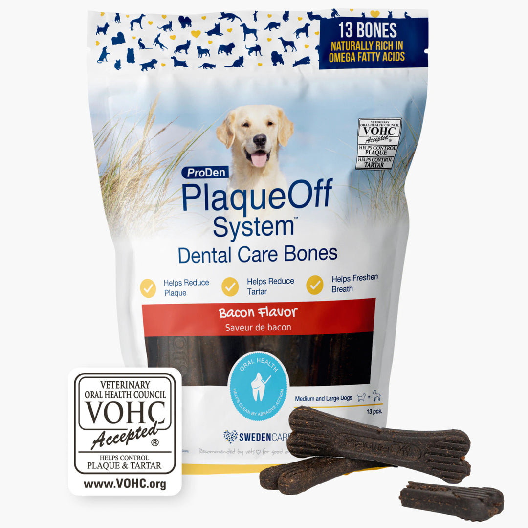 Dental Care Bones - Bacon Flavor