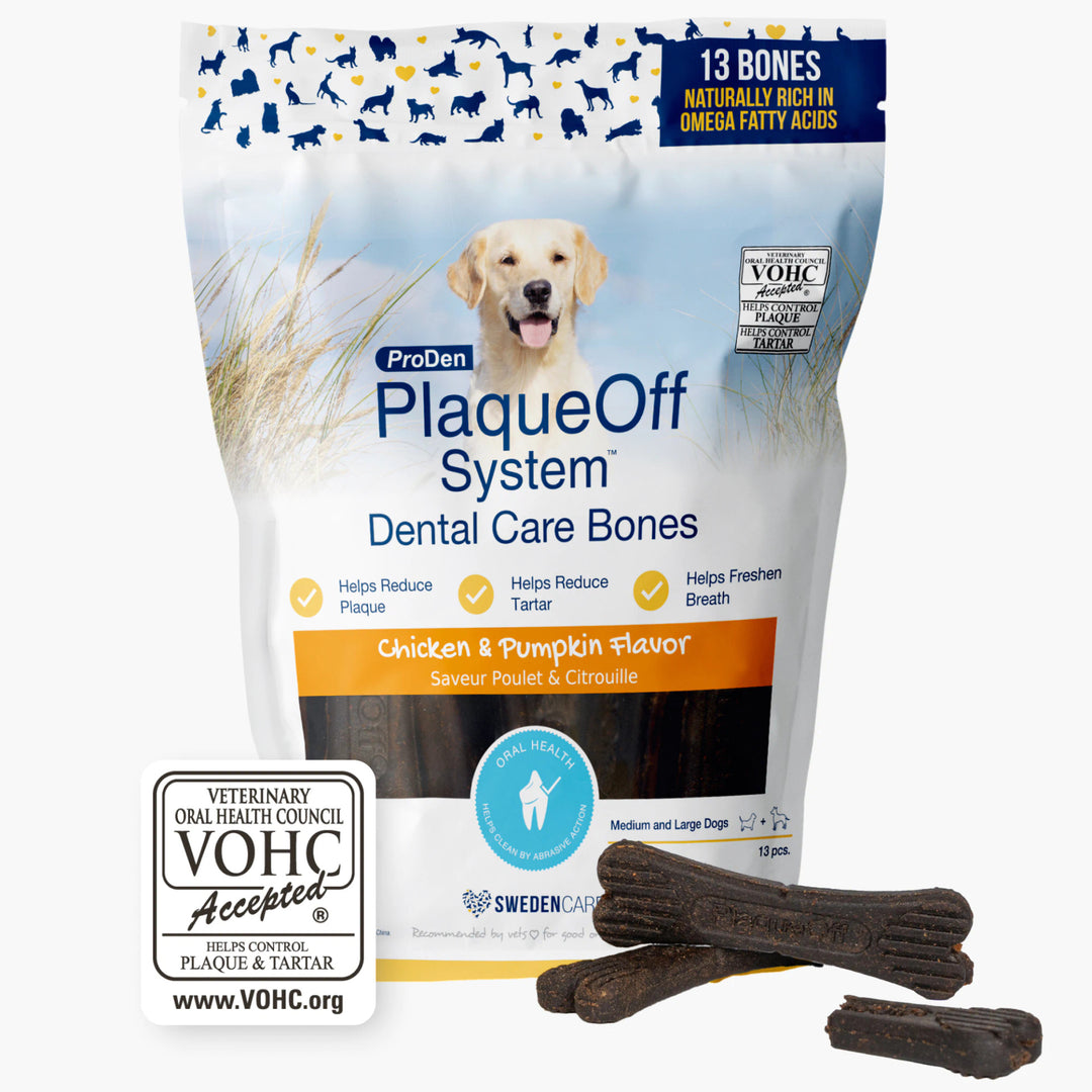 Dental Care Bones - Chicken and Pumpkin Flavor