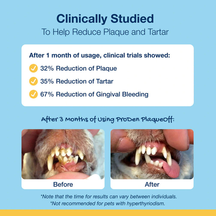 Dental Care Bones - Turkey and Cranberry Flavor