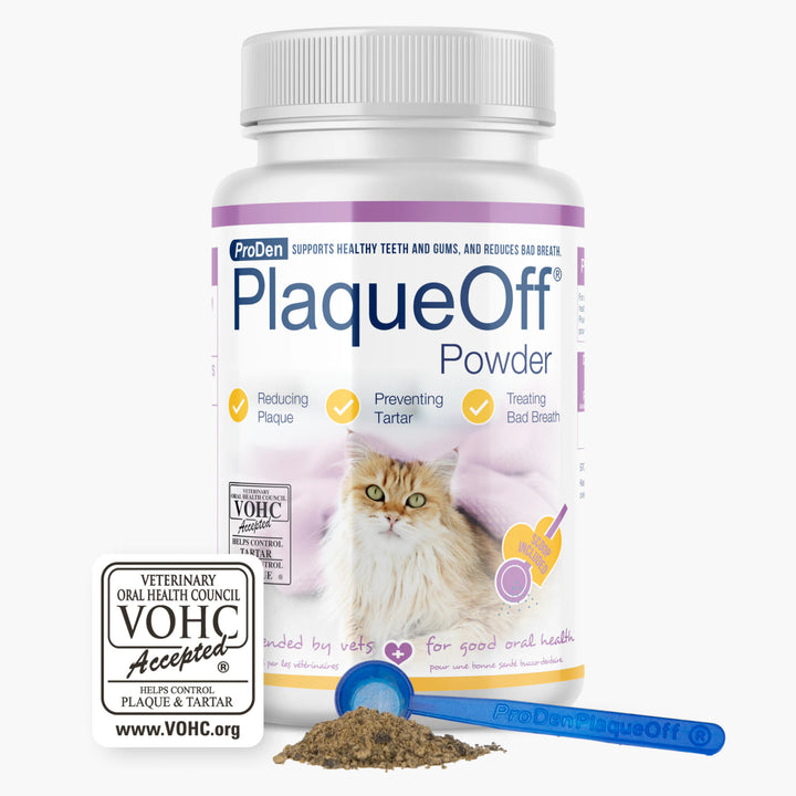 Powder for Cats 40g