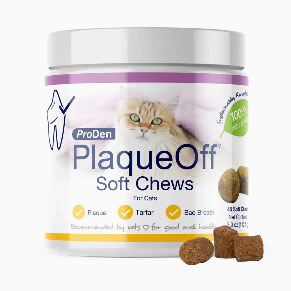Soft Chews - Cat