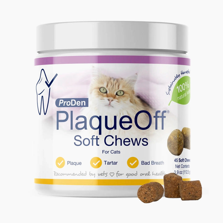 Soft Chews - Cat