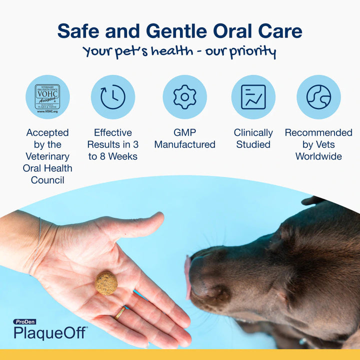 ProDen PlaqueOff Soft Chews - Dogs (For small and medium dogs)
