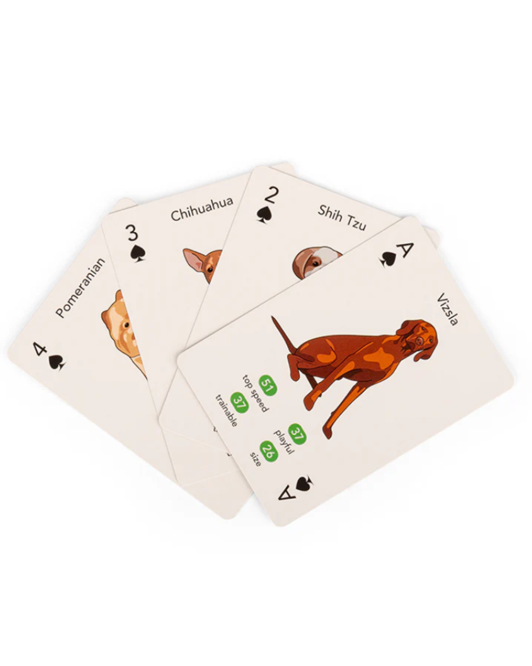 Paws & Play Playing Cards