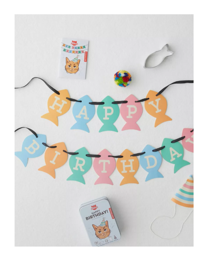 Cat Birthday Kit