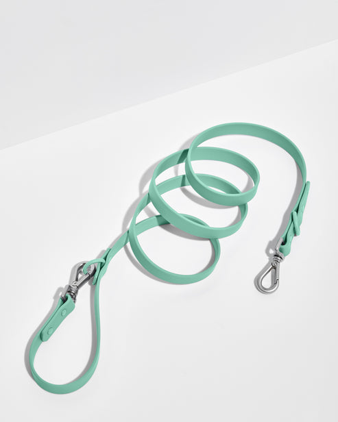 Leash